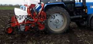 .ѳ����� ���� 8(������� ��-8) ������������ ������ ���