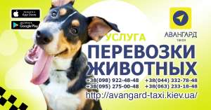 “Авангард”. Такси в Киеве - объявление