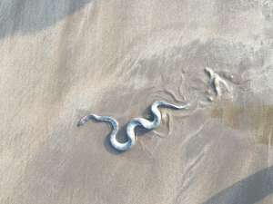 � ��� ������ , ������ �������� ����� � ���������� . ������ ������ ������ � ������� �� ������������� ������ ������