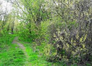 � ����� ����� ������ �� 2 ��������� �������. - ����������