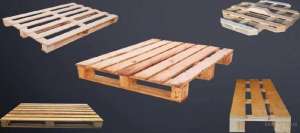 �i����� �����`��i �/�, ������ ����������