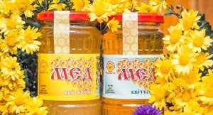 �� ��. �. �. � ������� ��� - ����������