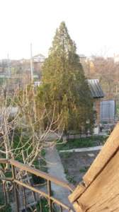 �� ��������� ���� ���� - ����������