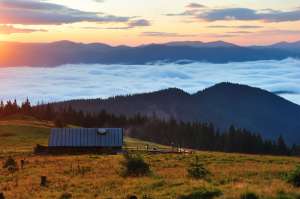 ��� VURDA trip �� ����� - ����������