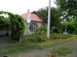 ��� � ���. ������������ (����) - ����������