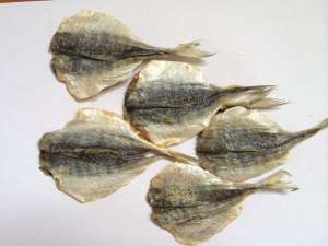 ��� � ���� - ����������