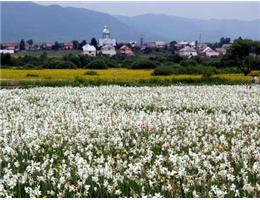 ��� � ������ ��������� 1 ���, ���� ���������� �� �������, ���������� �� ����� �������, ������ ��������� �� �����, �������, ����� - ����������