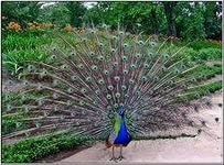 ��� � ������� ���� �� �������, ���������� �������, ������� ������, ��� �������� - ����������