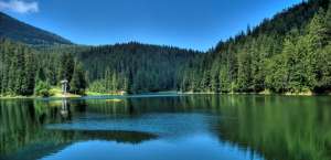 ��� � ���������� 1 ���, ��� � ���������� �� 9 ���, ������ ���������, �������, ��������, ������ - ����������