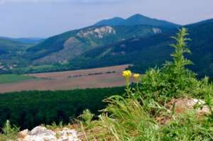 ��� � ���������� �� �������� 1 ���, ��� � ���������� �� 9 ���, ��� � ������ ��������� � ��� - ����������