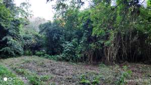 ���, �/� ���, ������, ( ����� -���������) 7,7 ����� 25000 �.�