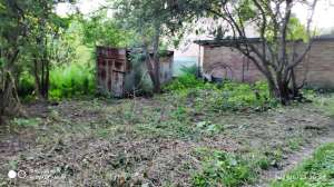 ���, �/� ���, ������, ( ����� -���������) 7,7 ����� 25000 �.�