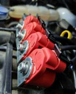 ��� �� ����, ��������� ���� ��������� ���, �� 6500 ���.