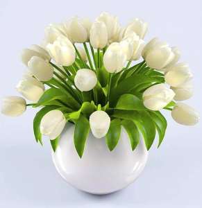 ��� �� ���������� �� 8 �����, ���� � ������� �� 8 �����, ��� � �������� 8 ����� - ����������