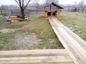 ��� ��� ������