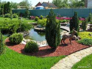 ��� ��� ������������ �������