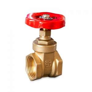 ��� ��� �����-������������� - ����������