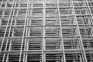 ��� ���� ����� �� ������� �������������