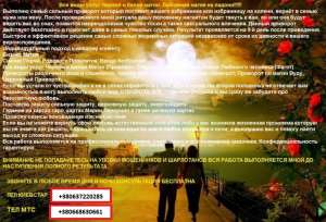 ��� ���� ���������� ������. ��������. ������� �������� ��������. - ����������