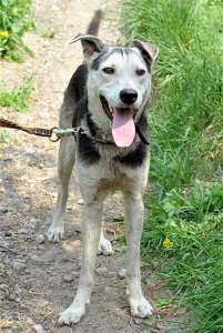 ��� ����� ���� �������� �������! (������� 1 ���) - ����������