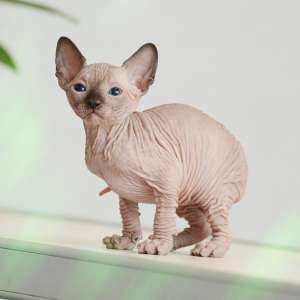 ��� ������, ��� ������� ������ ����������? �����! � ��������� ��������