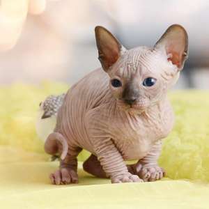 ��� ������, ��� ������� ������ ����������? �����! � ��������� ��������