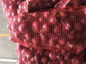 ��� �������