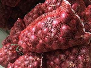 ��� �������