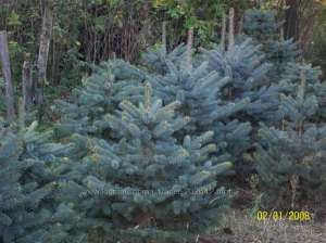 ��� �������, ��� ������� - ����������