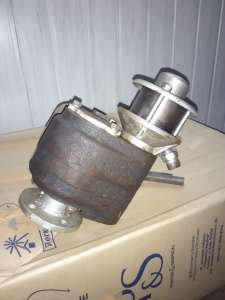 ��� ��������