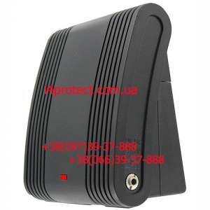 ��� �������� � ��������, ��������, ������������ ���� ������������ - ����������