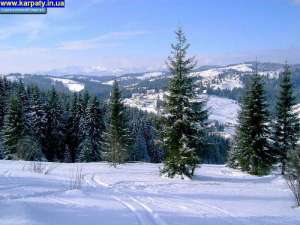 ��� �������� ����, �������� �� ������ ��������, ��� �������� �� ������, ������� �������� �� �������� - ����������