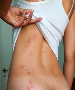 ��� ��������� �� ������ ��������������