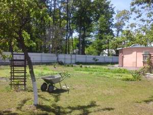 ��� ��������� - ��������