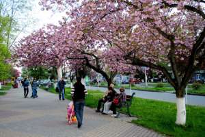 ��� ���������� ���� ������, ���������� �� �������� 9 ���, ������ ��������� ��� �� �����, ���� ������� 9 ��� �������� - ����������