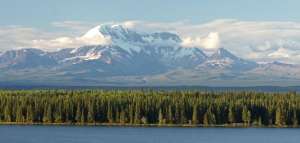 ��� ����������� ��� ����������� � ������ � ��� - ����������