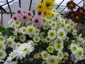 ���+ �������+������.