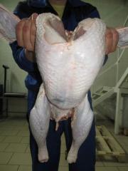 ���-6 ���-8 ���� �������������. �������� ��������.