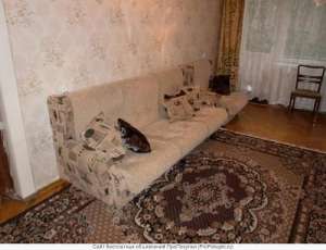 ���� 1 ����. �� ��������, �-� 24 ������ - ����������