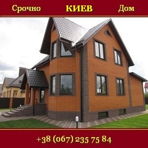 ���� 2016 ������������ ��� ��������� ����� - ����������