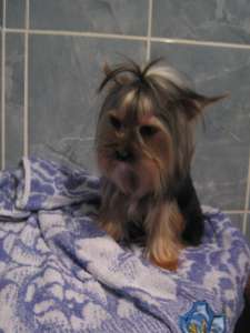 ���� 9��� 1��.