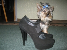 ���� 9��� 1��.