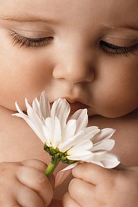 ���� � 20-������ ������ ������ � �������