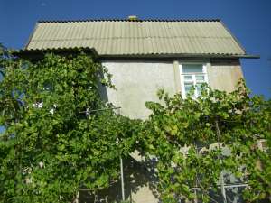 ���� � ���� (�������)