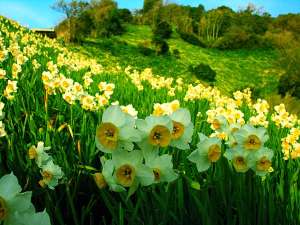 ���� � ������ ��������� �� 1 ���, ���� ���������� �� ������� �� �����, ������� �� ������� ������� �� �����, ���������, ����� - ����������