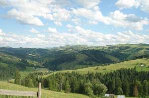 ���� � ������� �� ������� ��������, ������� ���������� �� �������, ���� ������� �� 1 ��� �� ����� - ����������