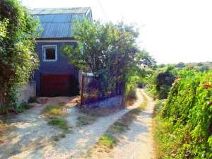 ���� � ���������