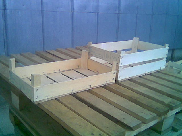 ���� �� �����