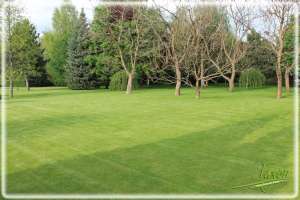 ���� �� �������