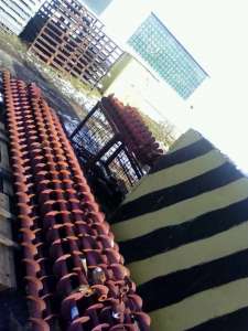 ���� ���